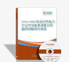 2014-2020年徐州市電力行業(yè)市場前景調(diào)查及投融資戰(zhàn)略研究報(bào)告