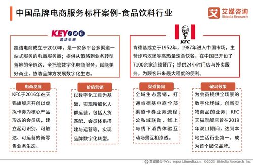 2023年中國品牌電商服務(wù)行業(yè)深度解析 艾媒咨詢研究報(bào)告揭示市場趨勢與機(jī)遇